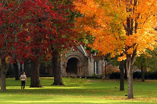 Photo of campus in fall with colored leaves on the trees